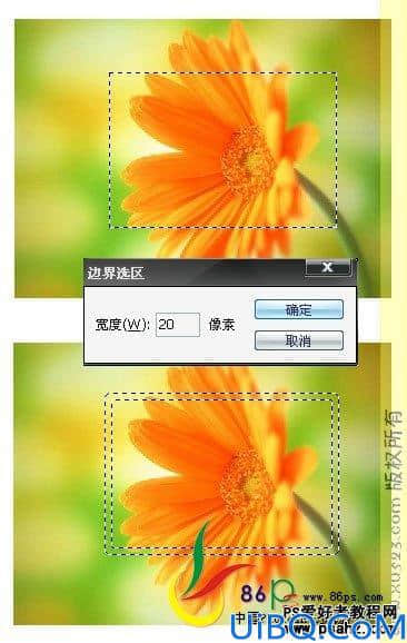 Photoshop基础教程：选区工具的应用技巧讲解