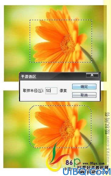 Photoshop基础教程：选区工具的应用技巧讲解