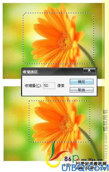 Photoshop基础教程：选区工具的应用技巧讲解