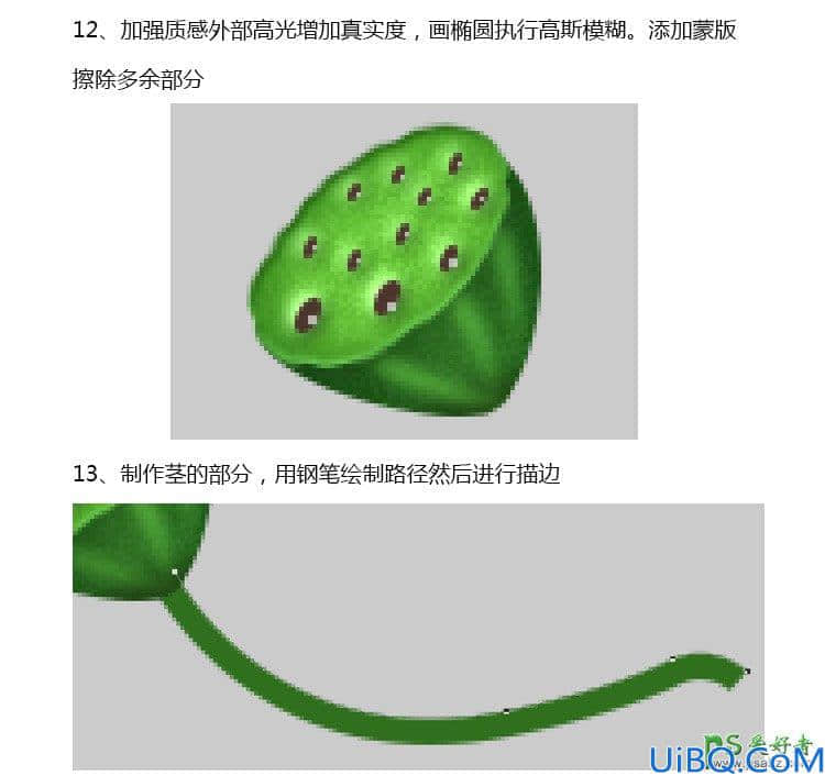 Photoshop失量图绘制教程：学习手绘漂亮精致的青色莲蓬失量图素材。