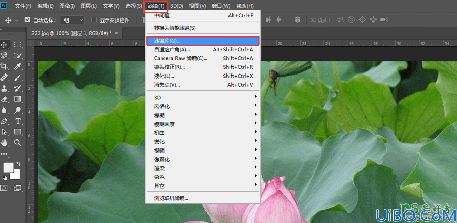 利用photoshop内置滤镜工具创造逼真的水彩风格的荷花图片