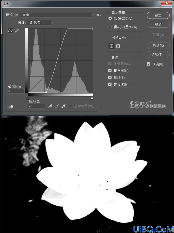 Photoshop用曲线快速抠出荷花的教学