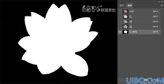 Photoshop用曲线快速抠出荷花的教学