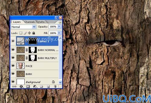 Photoshop合成恐怖的树皮脸