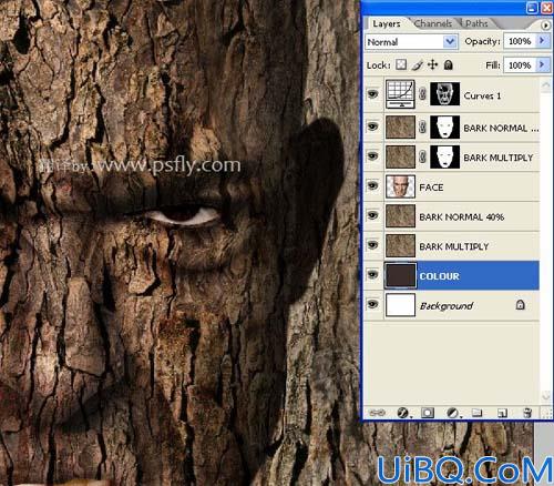 Photoshop合成恐怖的树皮脸
