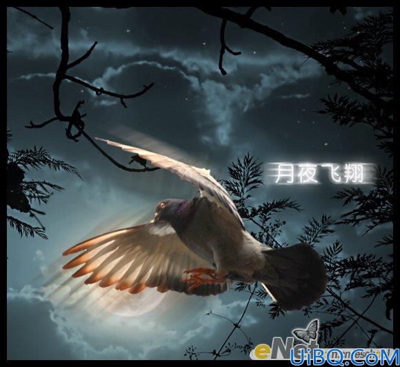 Photoshop合成夜空飞翔的鸽子