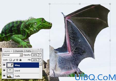 Photoshop合成城堡上的绿色翼龙