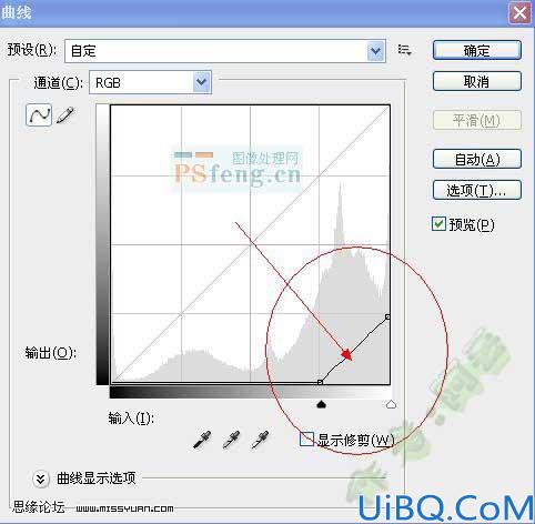 Photoshop调出照片的古典颓废非主流色调