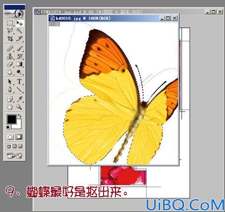 教你制作花开花落签名