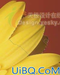 photoshop CS3  新的抠图魔棒选择工具介绍