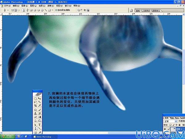 Photoshop绘制美丽海豚