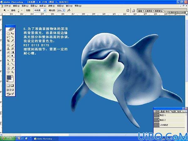 Photoshop绘制美丽海豚
