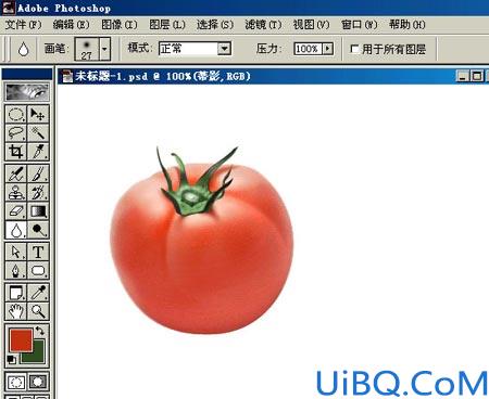 PHOTOSHOP绘作逼真蕃茄