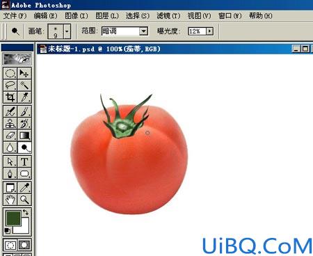 PHOTOSHOP绘作逼真蕃茄