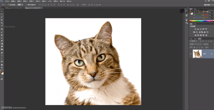 场景合成，通过Photoshop合成猫咪拉花图案的咖啡