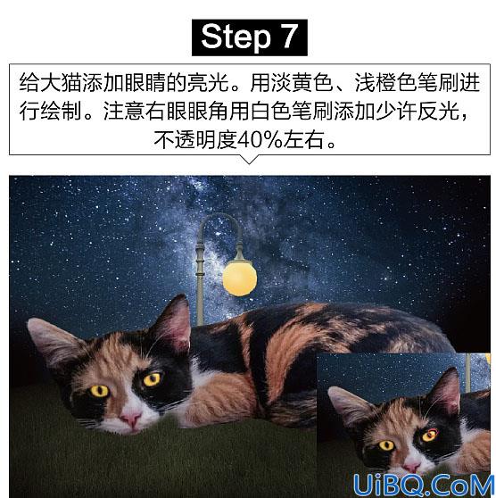 照片合成，Photoshop合成星空下女孩和猫咪依偎阅读的梦幻场景