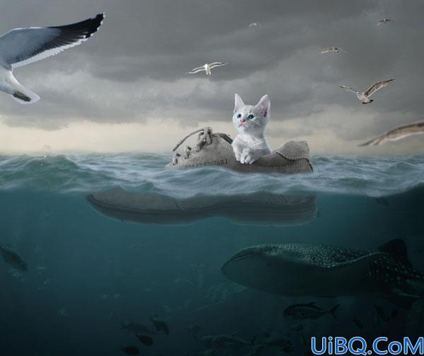 海洋场景，合成一张在鞋里漂流在海上的小猫场景
