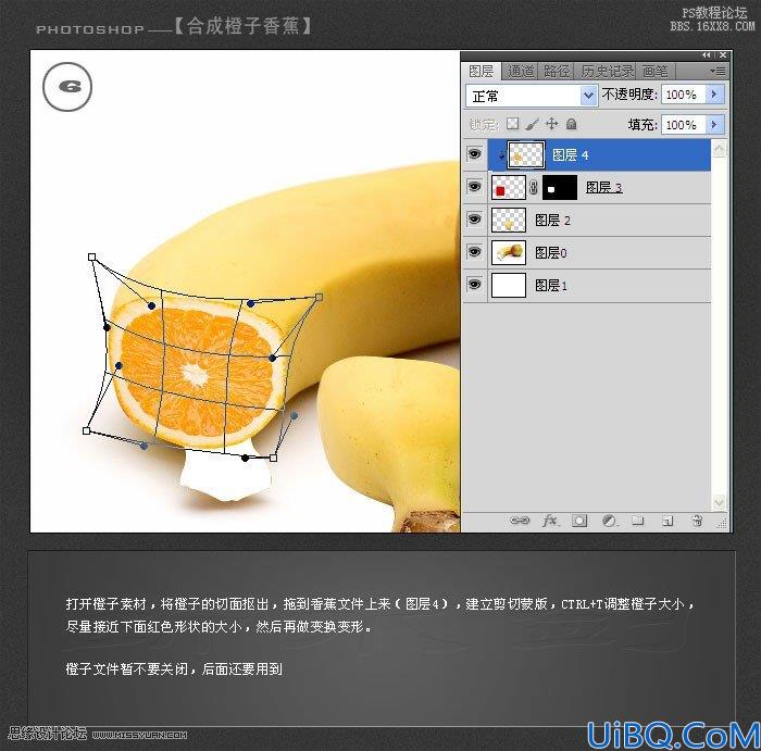 Photoshop合成香蕉外形的橙子教程