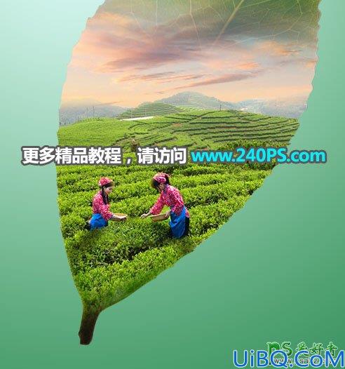 Photoshop图片合成教程：利用多种素材合成出唯美意境风格的茶园风景图片