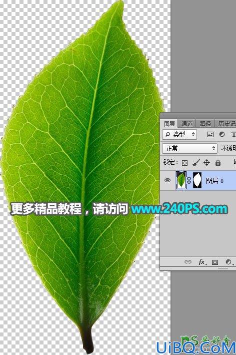 Photoshop图片合成教程：利用多种素材合成出唯美意境风格的茶园风景图片