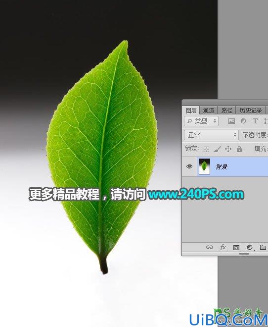 Photoshop图片合成教程：利用多种素材合成出唯美意境风格的茶园风景图片