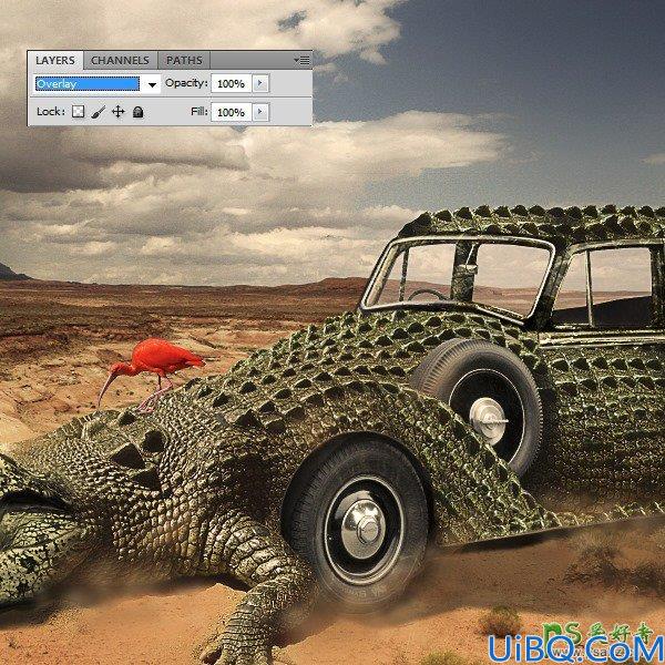 Photoshop合成教程：把鳄鱼和汽车完美的融合起来合成出超酷的鳄鱼汽车
