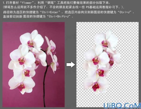 Photoshop合成一朵牛奶鲜花