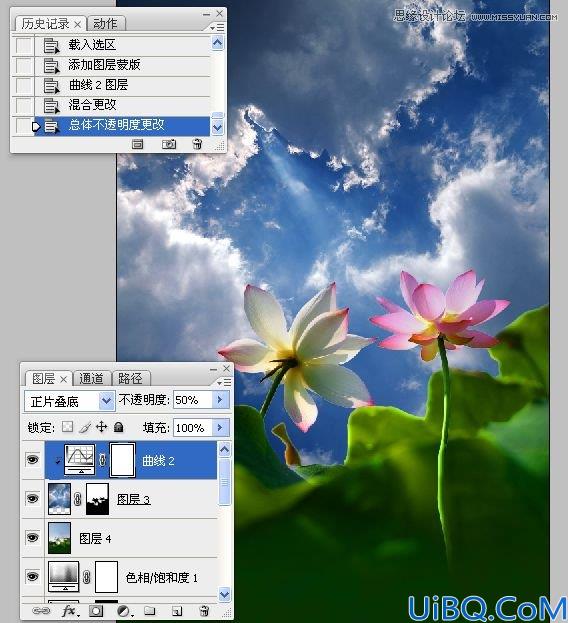 Photoshop多张图片合成一张荷花图