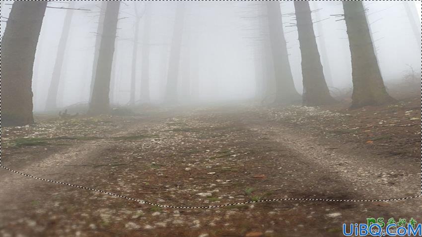 Photoshop梦幻动物场景合成实例：打造深夜月光下迷雾森林中行走的鹿王。