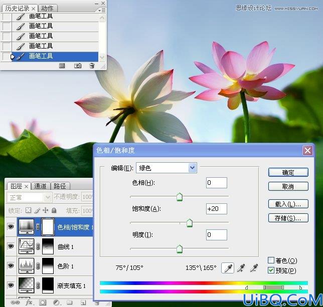 Photoshop多张图片合成一张荷花图