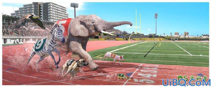 Photoshop图片合成教程：创意合成一幅有意思的动物比赛长跑的场景