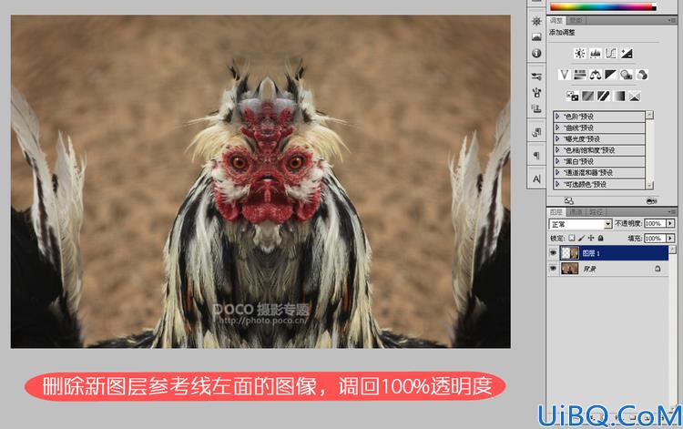 Photoshop用镜像合成可怕公鸡
