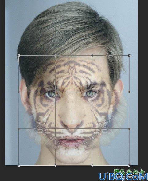 Photoshop人脸合成教程：给漂亮的帅哥脸部换上霸气的虎头图案。