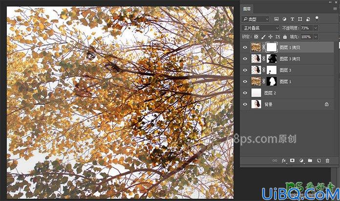 Photoshop人像合成教程：把美女头像与树木完美溶图打造出二次曝光效果