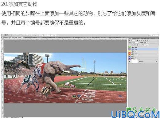 Photoshop图片合成教程：创意合成一幅有意思的动物比赛长跑的场景