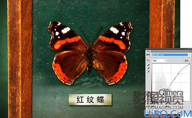 Photoshop CS5如何将多幅照片合成为一幅作品。