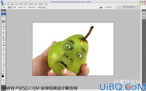 Photoshop合成教程：人面鸭梨创建技巧