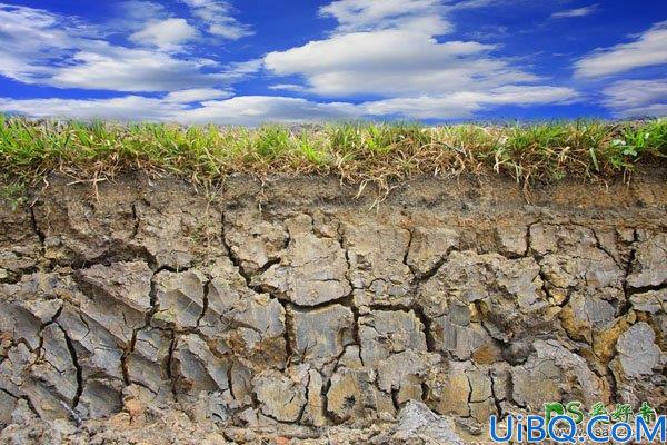 Photoshop合成教程：把树根、骷髅、鸟巢等素材合成出古怪的骷髅树效果图