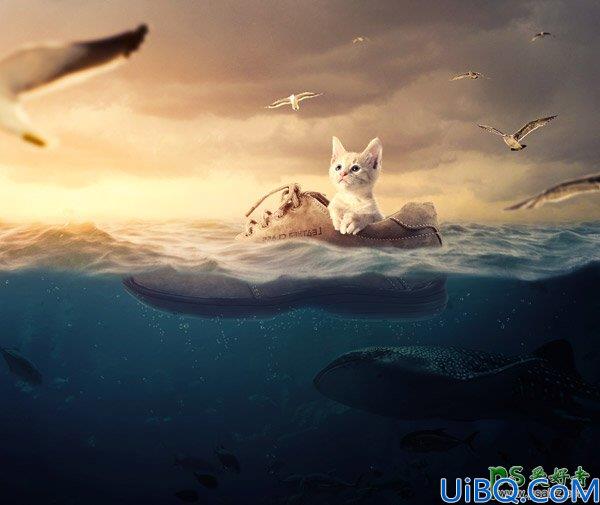 Photoshop合成教程：创意打造一只可爱的小猫咪坐在鞋上环游大海的场景