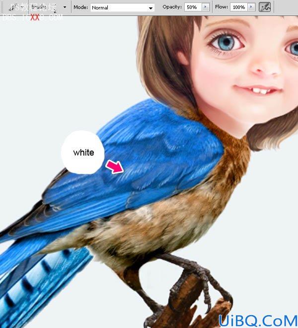 PHOTOSHOP教程:创建一个梦幻的小鸟女孩画像