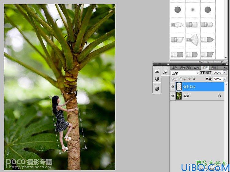 Photoshop人像合成教程：制作微距镜头下漂亮小女孩儿攀爬小树的效果图