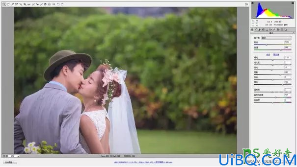 Photoshop婚片后期调色教程实例：打造低饱合度日系色彩情侣婚纱艺术照