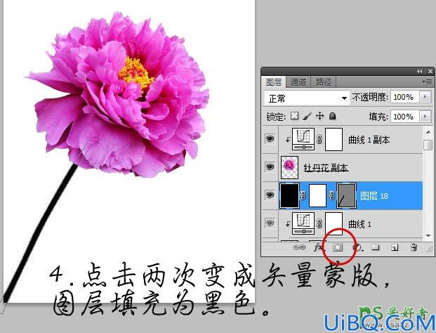 Photoshop特效图片合成教程：打造水花飞溅效果的粉红色牡丹花效果图