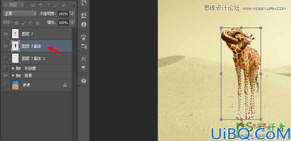 Photoshop溶图教程：用CC版本操控变形创意合成沙漠里脖子打结的长颈鹿