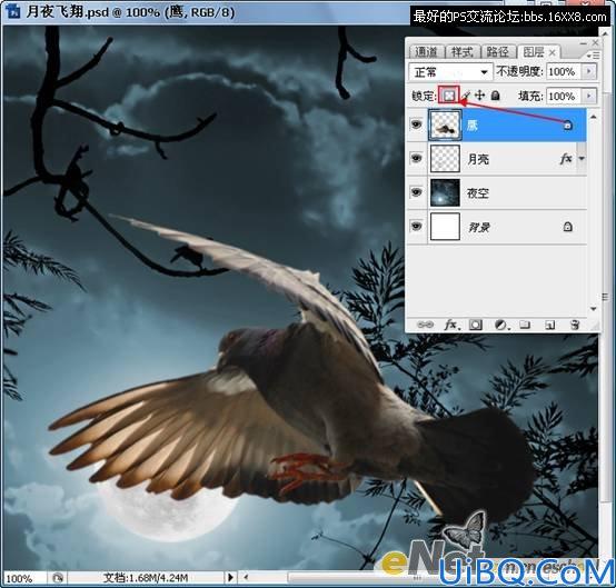 Photoshop照片合成教程:黑夜中飞翔的鸽子