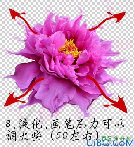 Photoshop特效图片合成教程：打造水花飞溅效果的粉红色牡丹花效果图