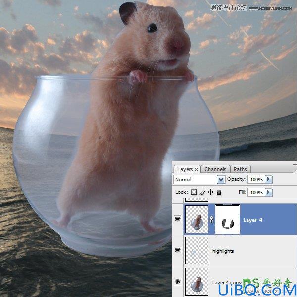 Photoshop创意合成可爱的松鼠海盗船长_海盗鼠船长教程实例