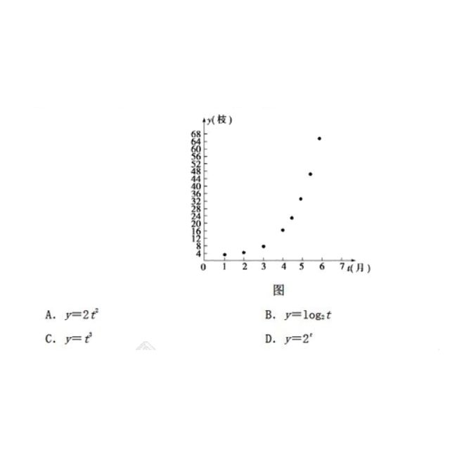 字体设计，制作一款创意十足的高考字样的文字海报