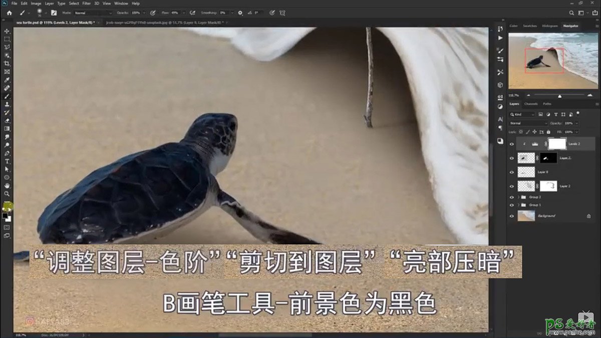 Photoshop创意合成小海龟走进掀开被子效果的海浪中，回家的海龟