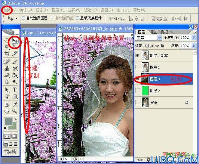 Photoshop抠图教程：学习用背景橡皮擦工具快速抠出美女婚纱照。